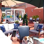 Terrazza Miracapri *